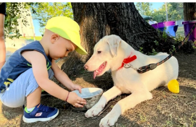 ASPA organizează un nou târg de adopții cu câini și pisici în cadrul Festivalului RiseUp Student Fest