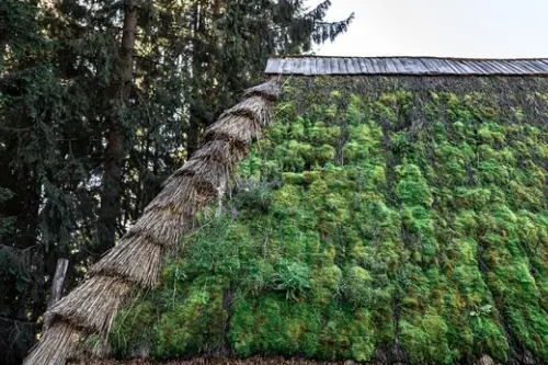 Designul exterior ecologic: rolul și importanța sa în 2024