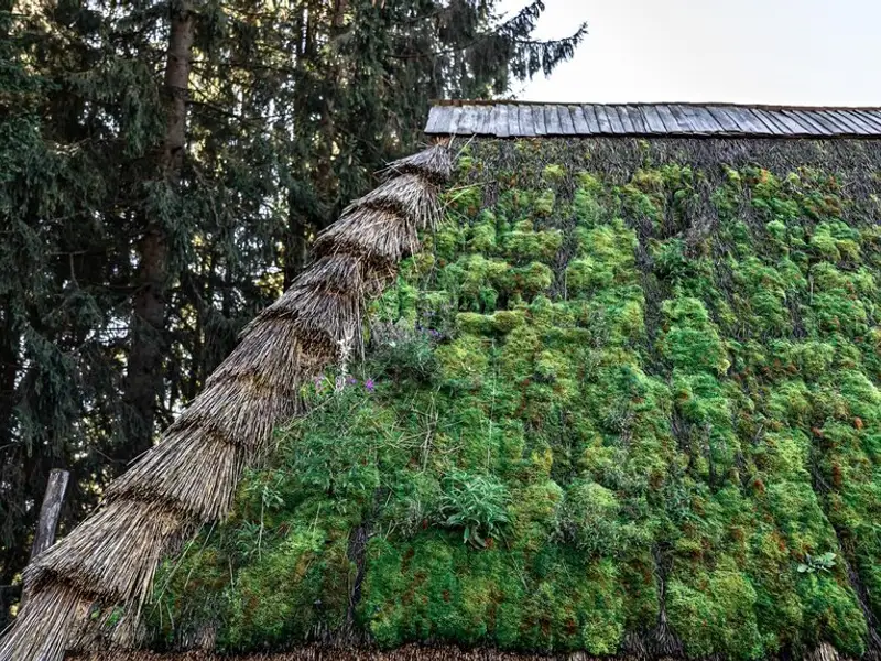 Designul exterior ecologic: rolul și importanța sa în 2024