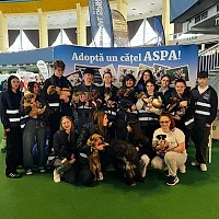 La cel mai recent târg de adopții organizat de ASPA, 19 căței și-au găsit familiile. Următorul târg va avea loc sâmbătă, 5 aprilie 2025, în Parcul Tineretului, între orele 10:00 și 16:00.