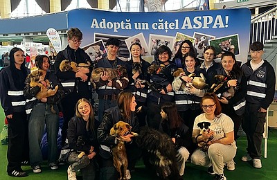 La cel mai recent târg de adopții organizat de ASPA, 19 căței și-au găsit familiile. Următorul târg va avea loc sâmbătă, 5 aprilie 2025, în Parcul Tineretului, între orele 10:00 și 16:00.