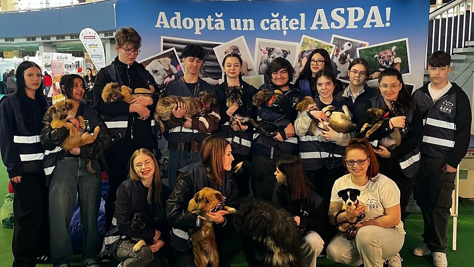 La cel mai recent târg de adopții organizat de ASPA, 19 căței și-au găsit familiile. Următorul târg va avea loc sâmbătă, 5 aprilie 2025, în Parcul Tineretului, între orele 10:00 și 16:00.