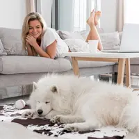 Top 6 trucuri de dresaj pentru câinele neastâmpărat crescut în apartament