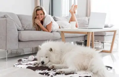 Top 6 Training Tricks for the Unruly Dog Raised in an Apartment