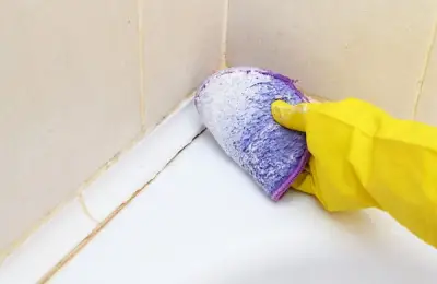 Effective Solutions for Mold Removal in the Bathroom