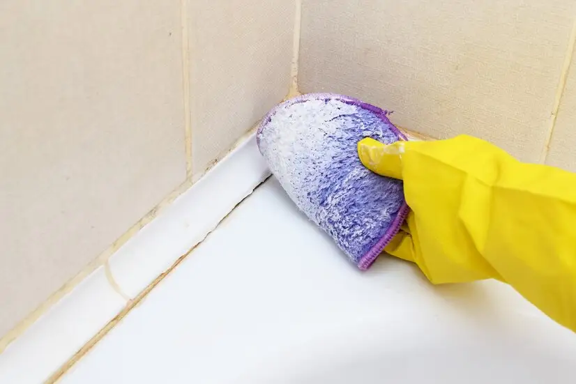 Effective Solutions for Mold Removal in the Bathroom