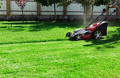 Cât de des trebuie să tunzi iarba în grădină? Sfaturi practice pentru un gazon sănătos și frumos