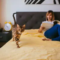 Alegerea unui pat adecvat dimensiunilor camerei: Un pat de dimensiuni potrivite asigură confort fără a aglomera spațiul disponibil.