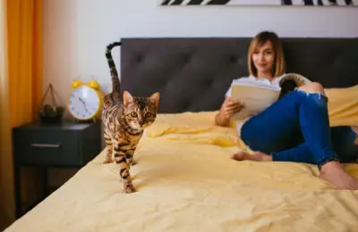 Choosing the Right Bed Size for Your Room: A Properly Sized Bed Ensures Comfort Without Cluttering Available Space.