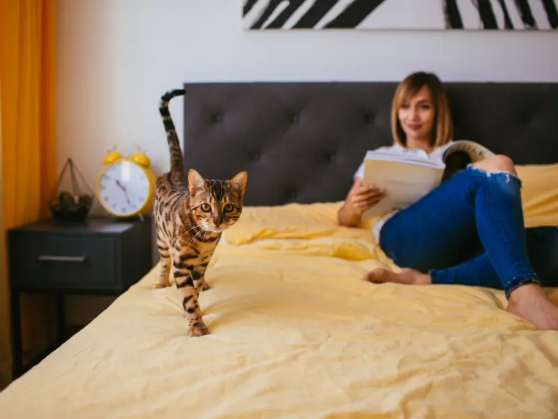 Alegerea unui pat adecvat dimensiunilor camerei: Un pat de dimensiuni potrivite asigură confort fără a aglomera spațiul disponibil.