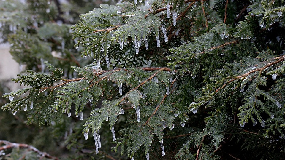 Prognoza meteo, 9 februarie. Valul de frig persistă în România