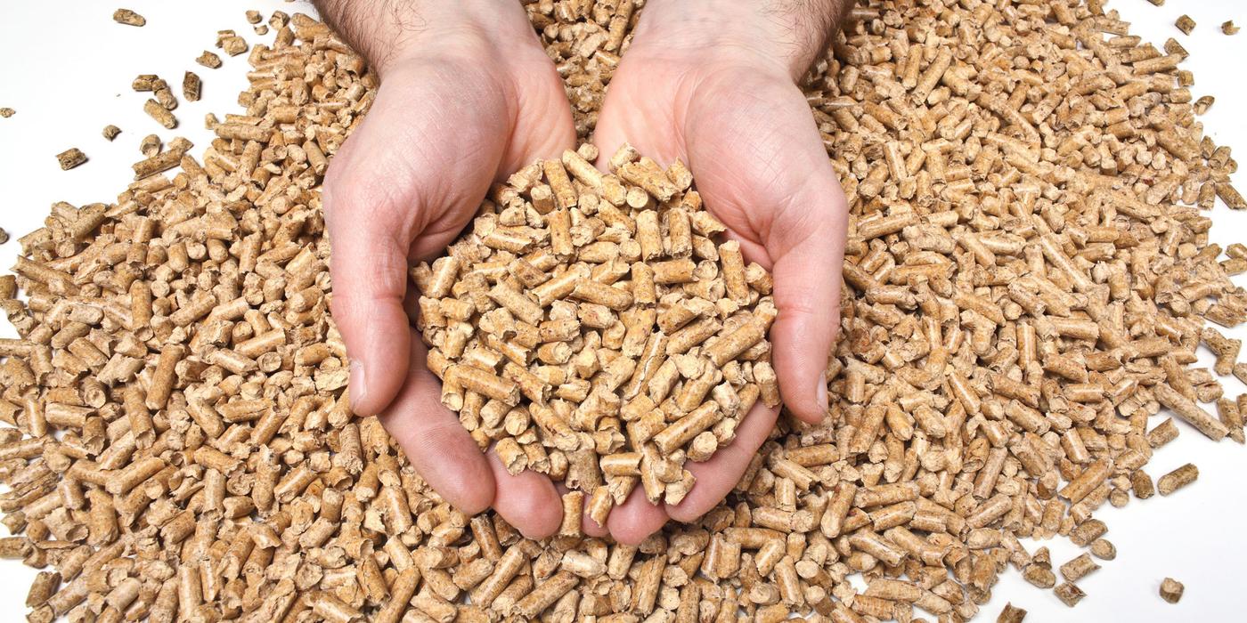 Mici, dar puternici ce trebuie să știi despre încălzirea cu peleți