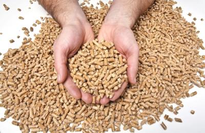 Mici, dar puternici ce trebuie să știi despre încălzirea cu peleți