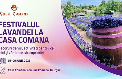 Festivalul Lavandei la Comana – o escapadă parfumată la doar o oră de București