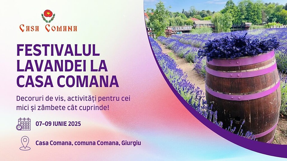 Festivalul Lavandei la Comana – o escapadă parfumată la doar o oră de București