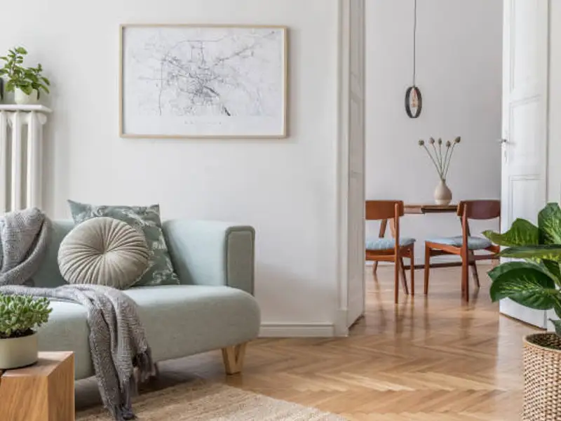 Forme în tendințe în designul interior în toamna 2024