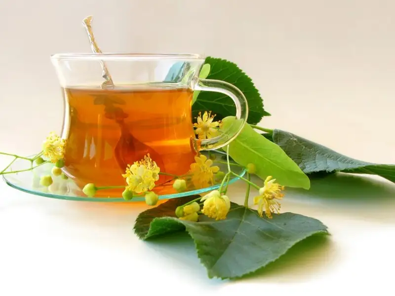 Cum se planteaza lamaita?