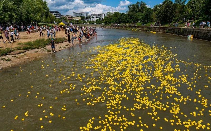 Spectacol pe Someș: 25.000 de rățuște pornesc în cursa binelui pe 1 Iunie!