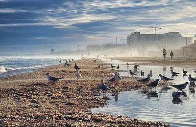 Aproape 50 de subsectoare de plajă de pe litoral vor fi scoase la licitaţie / 38 dintre acestea sunt în Mamaia