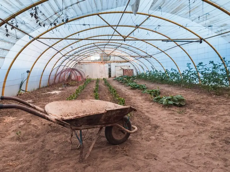 Sere și solarii: grădini minunate tot anul