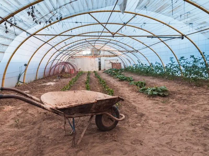 Sere și solarii: grădini minunate tot anul