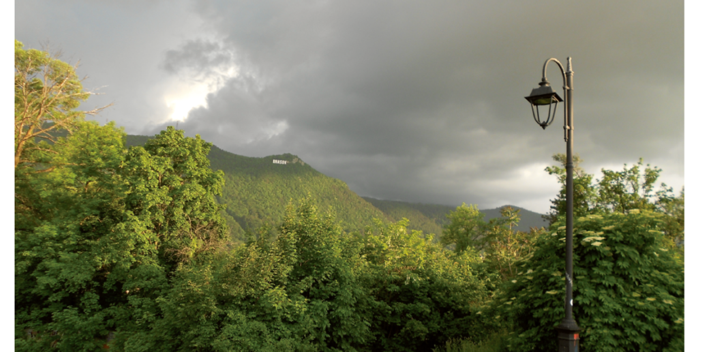 Urmările nefaste ale toaletărilor incorecte și frecvente ale copacilor din localități