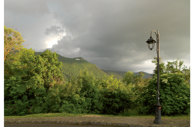 Urmările nefaste ale toaletărilor incorecte și frecvente ale copacilor din localități