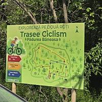 O plimbare pe două roți spre inima verde a Capitalei: Excursie cu bicicleta în Pădurea Băneasa, programată duminică. Primii 200 înscriși primesc premii