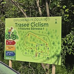 O plimbare pe două roți spre inima verde a Capitalei: Excursie cu bicicleta în Pădurea Băneasa, programată duminică. Primii 200 înscriși primesc premii