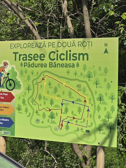 O plimbare pe două roți spre inima verde a Capitalei: Excursie cu bicicleta în Pădurea Băneasa, programată duminică. Primii 200 înscriși primesc premii