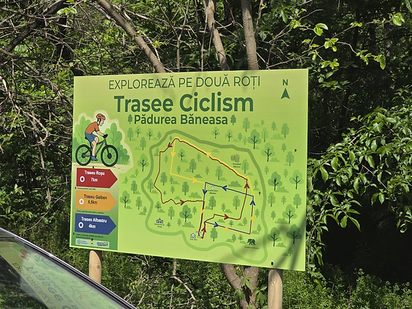 O plimbare pe două roți spre inima verde a Capitalei: Excursie cu bicicleta în Pădurea Băneasa, programată duminică. Primii 200 înscriși primesc premii