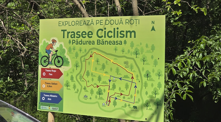 O plimbare pe două roți spre inima verde a Capitalei: Excursie cu bicicleta în Pădurea Băneasa, programată duminică. Primii 200 înscriși primesc premii
