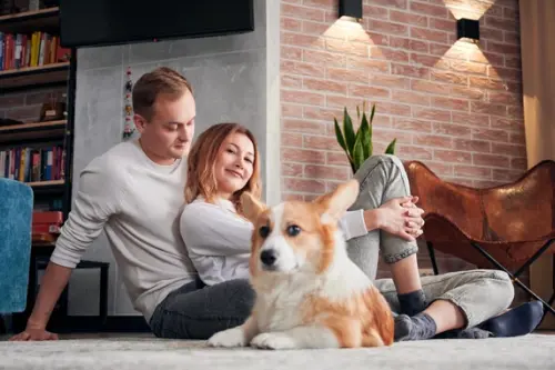 Sfaturi pentru menținerea unui apartament curat atunci când ai un animal de companie