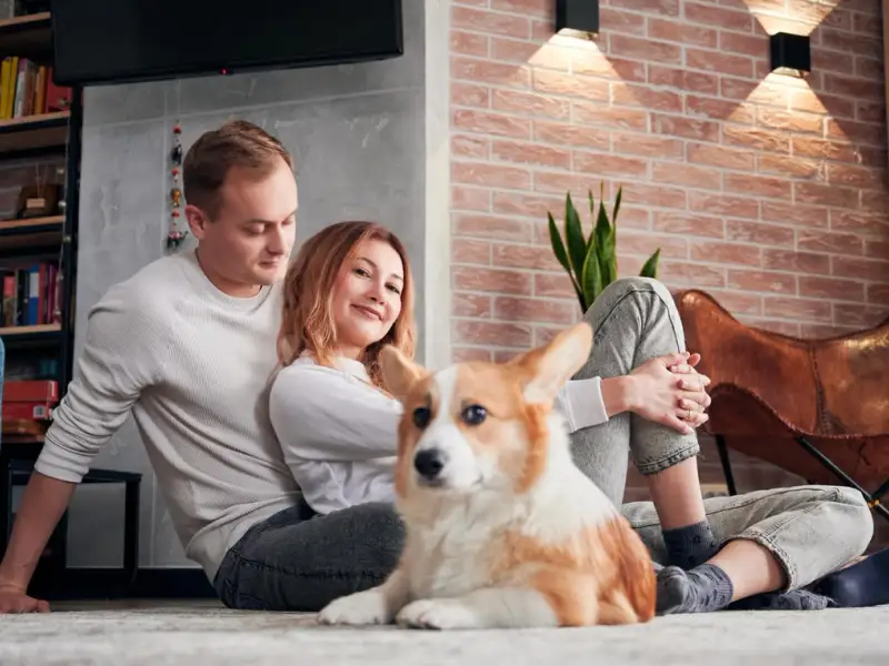 Sfaturi pentru menținerea unui apartament curat atunci când ai un animal de companie