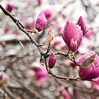 Prognoza meteo, 10 martie. România, prinsă în chingile acestui fenomen neașteptat