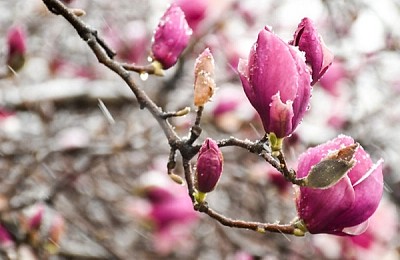Prognoza meteo, 10 martie. România, prinsă în chingile acestui fenomen neașteptat