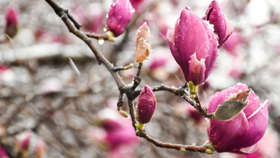 Prognoza meteo, 10 martie. România, prinsă în chingile acestui fenomen neașteptat