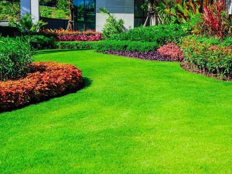 Transformă-ți grădina într-o oază de relaxare: 5 sfaturi practice