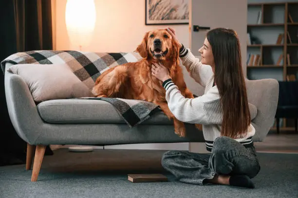 Animalele de companie și influența lor în procesul de amenajare a unui apartament