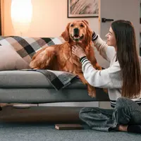 Animalele de companie și influența lor în procesul de amenajare a unui apartament