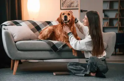 Companion Animals and Their Influence on Apartment Design