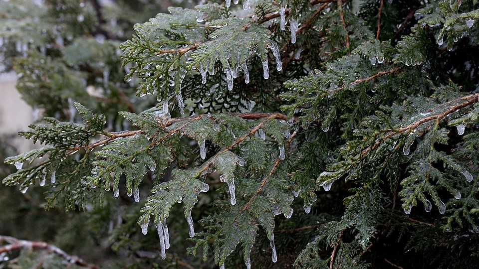 Val de frig peste România, cu ploi și îngheț în mai multe regiuni. Prognoza meteo pe regiuni