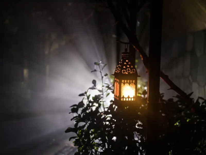 Cum alegi cele mai eficiente soluții de iluminat pentru grădină