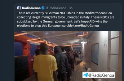 Elon Musk atacă susţinerea Germaniei a salvării de migranţi la Marea Mediterană, după ce îndeamnă la o victorie a Partidului Alternativa pentru Germania de extremă dreapta în alegeri