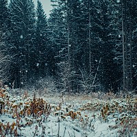 Prognoza meteo, 3 octombrie. Frig, ploi și zăpadă la altitudini mari. Mai multe alerte de vreme severă, în vigoare
