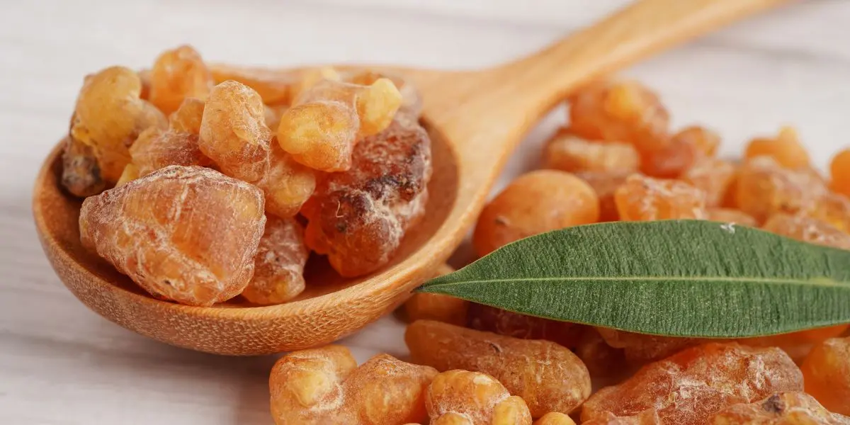 Tămâie naturală: Ghid complet pentru alegerea, utilizarea și beneficiile sale