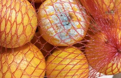 Amenzi de peste 7 milioane de lei, date de Protecţia Consumatorilor după controale în supermarketurile Lidl din toată ţara/ Au fost găsite la vânzare fructe şi legume cu mucegai, produse alimentare expirate sau cu ambalaj deteriorat, mizerie FOTO