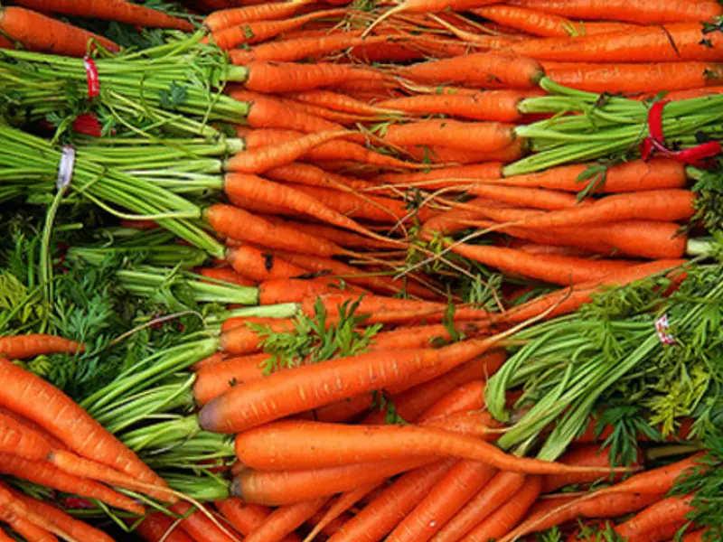 Cum se planteaza morcovii? (VIDEO)