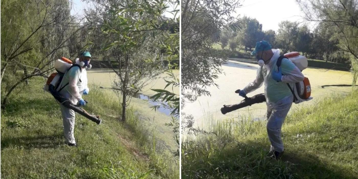 Primăria Capitalei a început miercuri, 12 iulie 2023, cel de-al șaptelea tratament împotriva țânțarilor