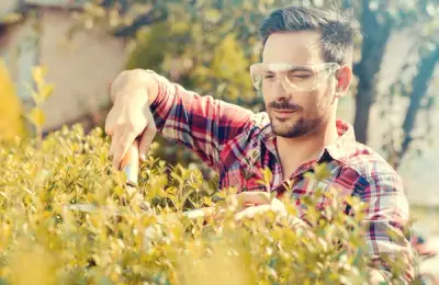 5 tipuri de unelte pe care orice gospodar trebuie sa le aiba mereu la indemana